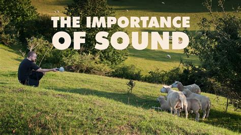 Importance of Talk of the Sound